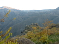 p1010335.jpg