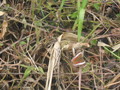img_2063.jpg