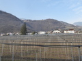 P1010695.JPG