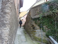 p1010725.jpg